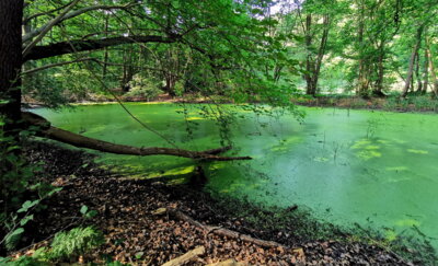 4. Naturwanderung (Bild vergrößern)
