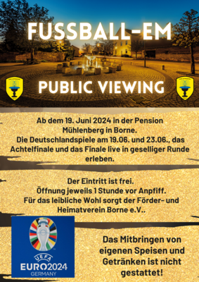Foto zur Meldung: FUSSBALL-EM Public Viewing