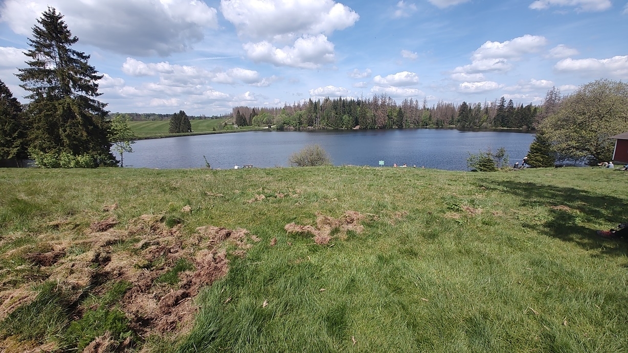 23.06.2024 Wanderung bei Buntenbock MTV v. 1862 Bad Gandersheim e.V.