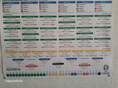 EM-Spiele in der Inter-Arena (Bild vergrößern)