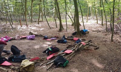Ausflug in den Wald (Bild vergrößern)