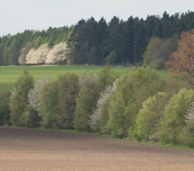 Foto zur Meldung: Seminar Heckenpflege in der Landwirtschaft