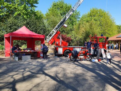 Oldtimertreffen im Kurpark Bad Bentheim