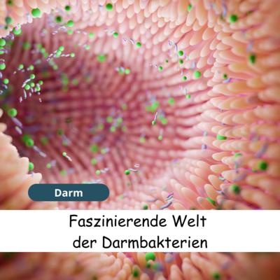 Meldung: Die faszinierende Welt der Darmbakterien: Eine Reise durch unser inneres Ökosystem
