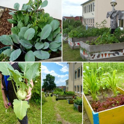 Im Schulgarten und bei den Gartenzwergen ist was los