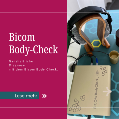 Bicom Body Check - ganzheitliche Diagnose (Bild vergrößern)