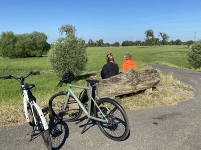 "Radeln für ein gutes Klima" heißt es wieder am dem 3. Juni beim diesjährigen Stadtradeln. Die Rolandstadt Perleberg nimmt bereits zum sechsten Mal an diesem Wettbewerb teil.