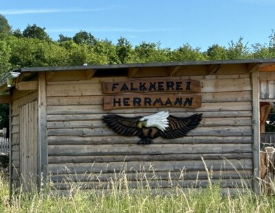 Erlebnistag Wald