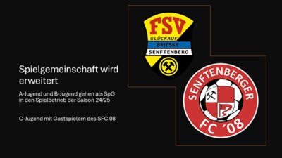 Spielgemeinschaft FSV Brieske / Senftenberger FC wird erweitert (Bild vergrößern)
