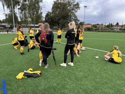 Vermeidbare Heimniederlage der #fsvfrauen (Bild vergrößern)