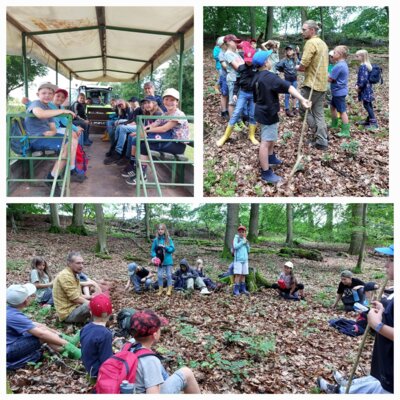 Foto zur Meldung: Waldtag der Klasse 3