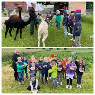Foto zur Meldung: Ausflug zum Bauernhof der Klasse 2c