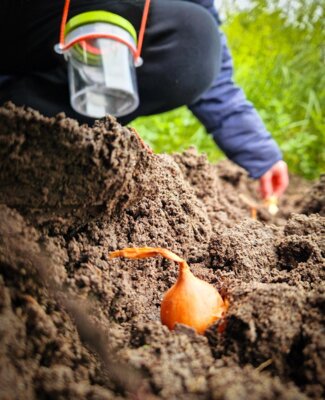 Besuche im Schulgarten