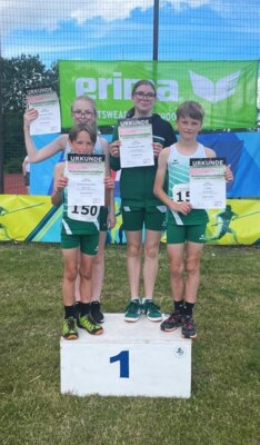 Leichtathletik Meisterschaften Langstrecke