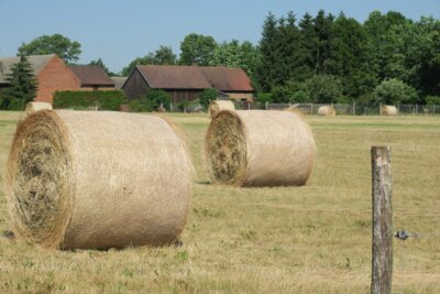 Heuballen auf einem Feld in Bolschwitz. Der Ortsteil ist einer von drei Calauer Ortsteilen, die sich beim Kreiswettbewerb "Unser Dorf hat Zukunft" beworben hat. Foto: Stadt Calau / Jan Hornhauer (Bild vergrößern)
