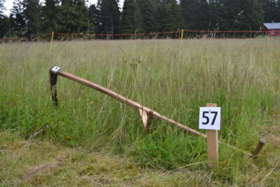 Bergwiesen Mahdwettbewerb 2024 RANGLISTEN (Bild vergrößern)