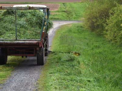 Meldung: „Mehr Strukturvielfalt im offenen Feld“