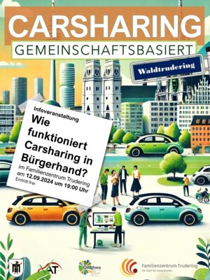 Geminschaftsbasiertes Carsharing (Bild vergrößern)