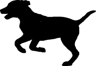 Information an alle Hundehalter im Stadtgebiet Immenhausen (Bild vergr&ouml;&szlig;ern)