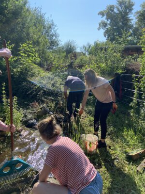 Foto zur Meldung: Arbeit am Teich