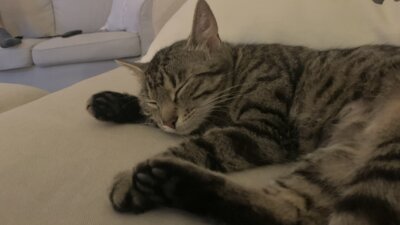Liebe Grüße aus Panketal von Cleo (Bild vergrößern)