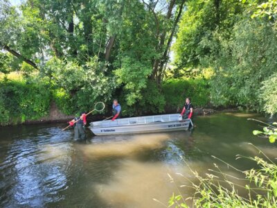 Wissenschaftler sowohl im Boot als auch watend beim schweißtreibenden Kartierungseinsatz