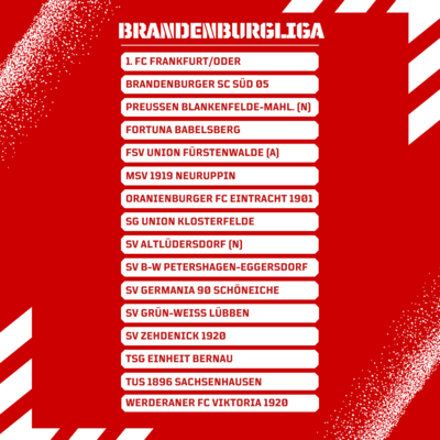 Herren-Saison 2024/2025 im Landesspielbetrieb: Staffeln fix! (Bild vergrößern)