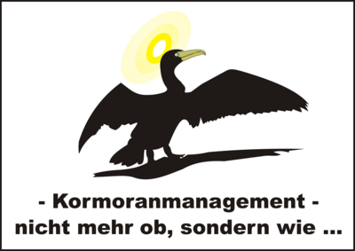 Bild: KAV