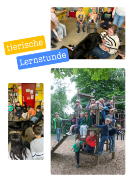 Tierische Freunde: Bobby Biber und Hündin Benja besuchen die Klasse 2a und 2b (Bild vergrößern)