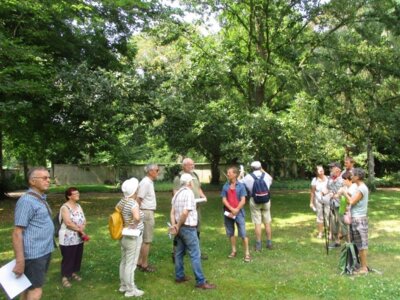 „Geraer Gehölzfreunde“ besuchten Friedhof: Interesse an seltenem Baumbestand (Bild vergrößern)