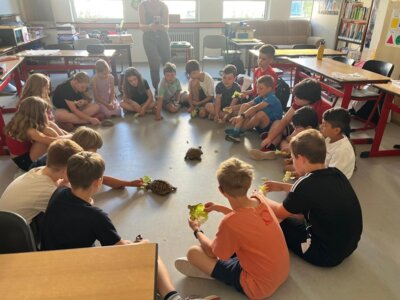 Schildkrötenbesuch in Klasse 4.1