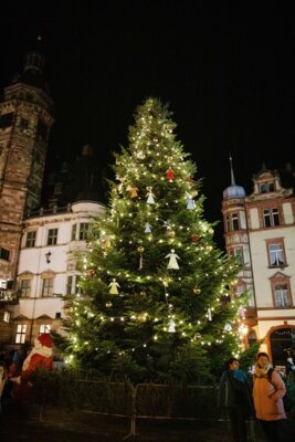 In 148 Tagen öffnet der Weihnachtsmarkt: Grüner Riese gesucht (Bild vergrößern)