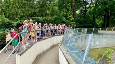 Klasse 1b: Wandertag in den Tierpark