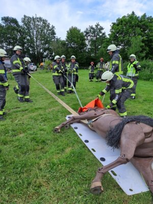 Foto zur Meldung: Übung Großtierrettung Hollingstedt