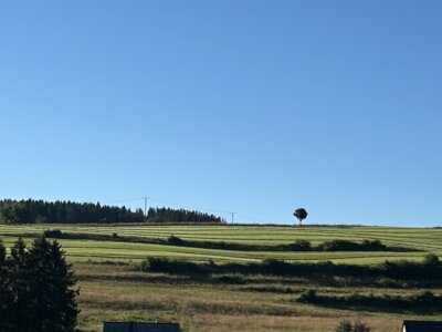 Sommerlicher Blick aus dem Aulafenster der Grundschule (Bild vergrößern)