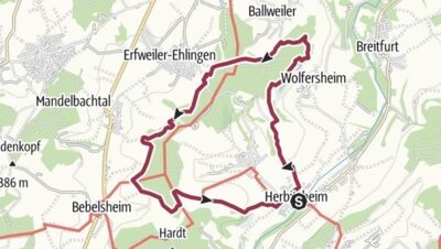 Foto zur Meldung: Mandelbachtal hat wieder einen Premiumwanderweg: 