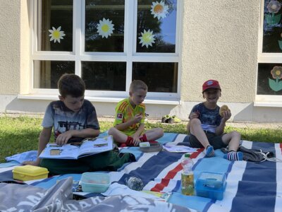 Buchvorstellung und Lesepicknick