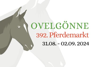Meldung: Neue Homepage für den Ovelgönner Pferdemarkt jetzt online!