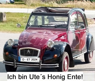 3 3 3 (Bild vergrößern)