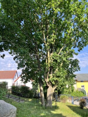 Foto zur Meldung: Besuch der Partnergemeinde Neppermin-Balm 2024