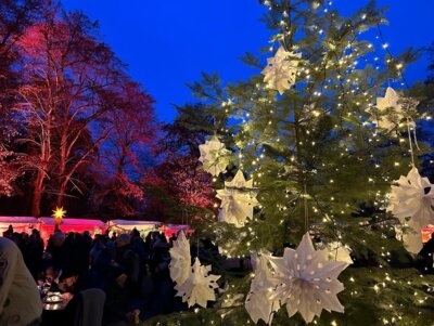 geschmückter Weihnachtsbaum (Bild vergrößern)