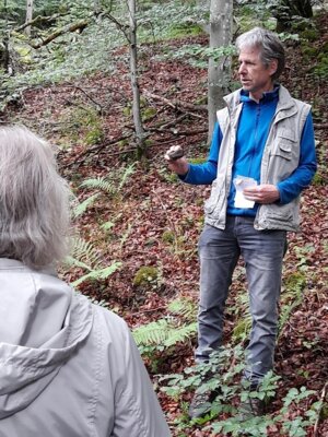 Meldung: Vom Steinbruch zum Naturschutzgebiet, Spaziergang im Stengerts bei Bischofsheim