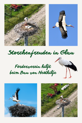 Storchenfreuden in Glau: Förderverein hilft beim Bau von Nesthilfe (Bild vergrößern)