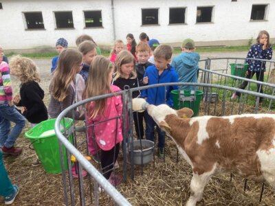 Foto zur Meldung: So leben Tiere auf dem Bauernhof - Prackenbacher Grundschüler erkundeten den Peterhof in Bodenmais