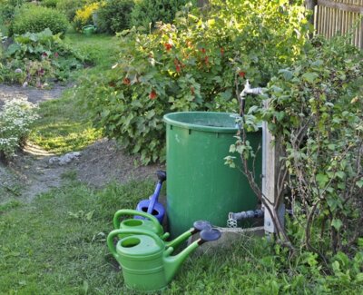 Gartentipps für den Sommer – Teil 1: Nachhaltiges Wassermanagement (Bild vergrößern)