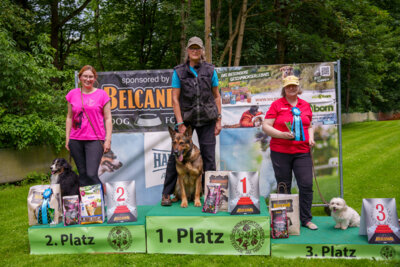 Foto zur Meldung: Rally Obedience Turnier 06.07.2024 beim Hundesportverein Osterode am Harz