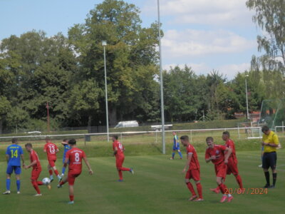 Freude im Seenlandteam (rot) und beim Torschützen Jonas Bohnes (3.v.rechts) beim Führungstreffer zum 1:0. (Bild vergrößern)