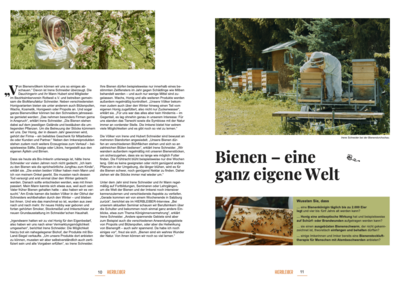 Meldung: Bienen – eine ganz eigene Welt