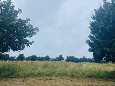 Veräußerung eines Gewerbeflurstückes (Bild vergrößern)