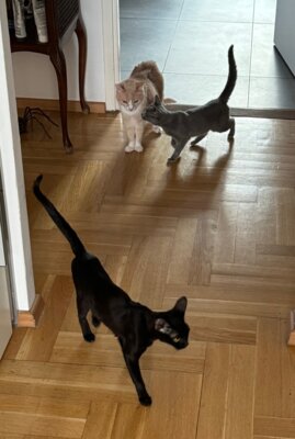 Filou+Frieda (Bild vergrößern)